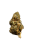 CC9 květy
