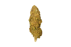 THC-R květy