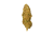 THC-R květy